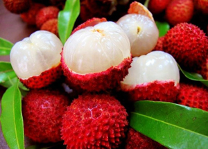 Lychee