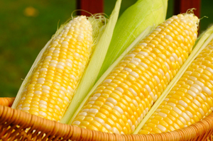 Corn